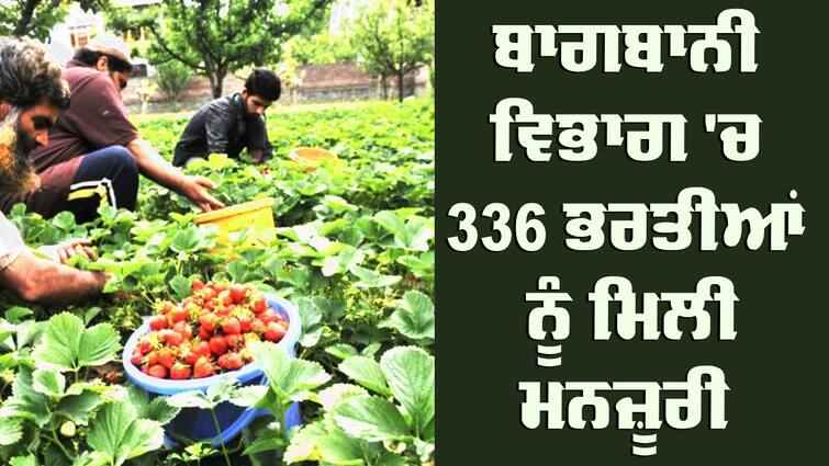 Chetan Singh Jauramajra directs officials to initiate recruitment process for filling 336 posts of Horticulture Department Jobs: ਬਾਗਬਾਨੀ ਵਿਭਾਗ 'ਚ 336 ਭਰਤੀਆਂ ਨੂੰ ਮਿਲੀ ਮਨਜ਼ੂਰੀ, ਮੰਤਰੀ ਜੌੜਾਮਾਜਰਾ ਨੇ ਜਾਰੀ ਕੀਤੀਆਂ ਹਦਾਇਤਾਂ 