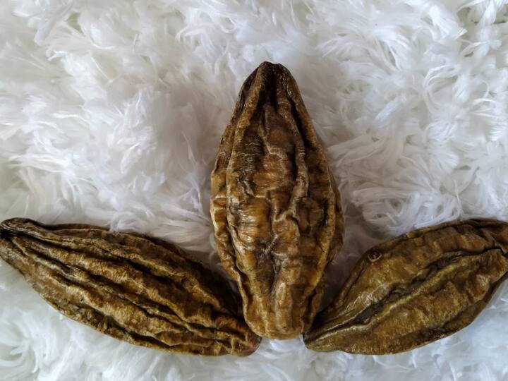 त्रिफळामधे  अँटीफंगल आणि अँटीबैक्टीरियल गुणधर्म असतात जे केसांचे आरोग्य वाढवण्यासाठी खूप चांगले आहेत.त्रिफळा चूर्ण पांढरे केस काळे करण्यास उपयुक्त ठरतं.(PHOTO CREDIT: UNPLASH)