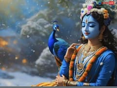 Krishna Heart Mystery: क्या आप जानते हैं यहां आज भी धड़क रहा है श्रीकृष्ण का दिल ?