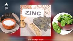 Health News: ਸਰੀਰ 'ਚ ਜ਼ਿੰਕ ਦੀ ਕਮੀ ਨੂੰ ਪੂਰਾ ਕਰਨ ਲਈ ਡਾਈਟ 'ਚ ਸ਼ਾਮਲ ਕਰੋ ਇਹ ਚੀਜ਼ਾਂ