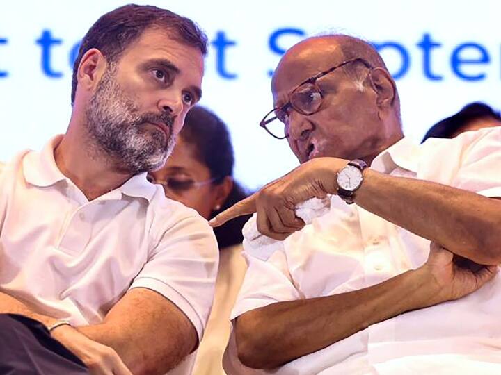 Rahul Gandhi Said Sharad Pawar is Not Prime Minister Over Adani Group Issue Slams PM Modi जब राहुल गांधी बोले, 'शरद पवार देश के पीएम नहीं हैं, वो...'