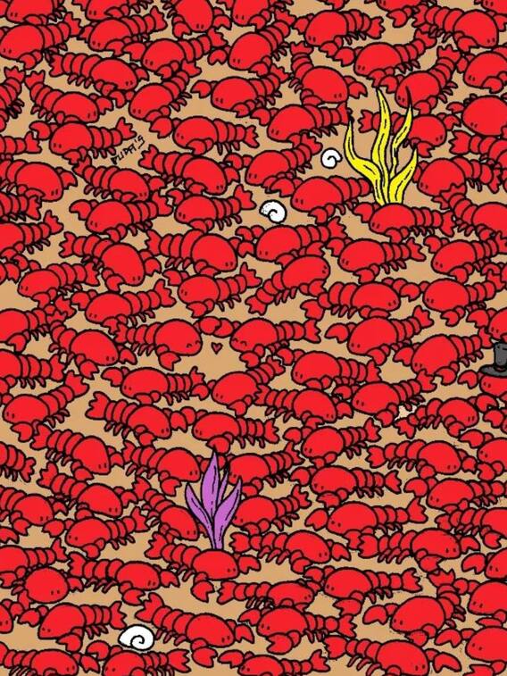 इन लॉबस्टर्स में छिपे हुए हैं 2 क्रैब, 10 सेकंड में बूझो तो जानें