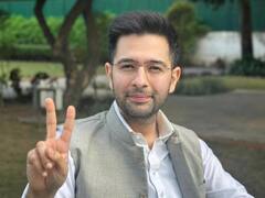 Delhi हाईकोर्ट के फैसले पर Raghav Chadha बोले- 'हमारी लड़ाई किसी घर की नहीं, संविधान बचाने की है'
