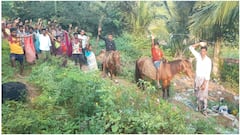 Tribals Agitation For Road Connectivity : గుర్రాలతో డోలీ పాదయాత్ర చేస్తున్న గిరిజనులు | ABP Desam