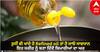 Refined oil:  ਤੁਸੀਂ ਵੀ ਖਾਂਦੇ ਹੋ Refined oil ਤਾਂ ਹੋ ਜਾਓ ਸਾਵਧਾਨ, ਇਹ ਸਰੀਰ ਨੂੰ ਬਣਾ ਦਿੰਦੈ ਬਿਮਾਰੀਆਂ ਦਾ ਘਰ