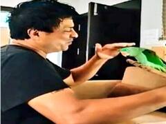 एमपी में तोते के गुम होने पर परिवार ने रखा 51 हजार का इनाम, कहा- फैमिली मेंबर के जैसा था टुकटुक