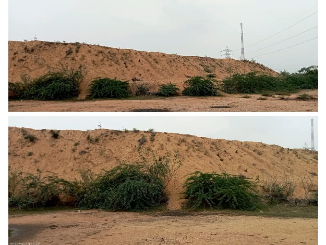 தூத்துக்குடியில் மழையிலும் காற்றிலும் கரையும் மலேசிய மணல் -அரசு பணம் ரூ. 12 கோடி வீணாகும் அவலம் Thoothukudi news Malaysian sand that dissolves in rain and wind waste of Rs 12 crore of government moneyTNN தூத்துக்குடியில் மழையிலும் காற்றிலும் கரையும் மலேசிய மணல் -அரசு பணம் ரூ. 12 கோடி வீணாகும் அவலம்