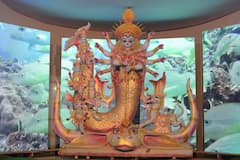 Durga Puja 2023:লোককাহিনিতে মৎস্যরূপে পূজিতা দেবী 'মুম্বা আই', তাঁরই আদলে এবারের থিম বরানগর ছাত্র সম্মিলনীর