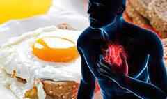 Egg For Heart : ਕੀ ਆਂਡੇ ਖਾਣ ਨਾਲ ਵਧ ਜਾਂਦੈ ਦਿਲ ਦੀਆਂ ਸਮੱਸਿਆਵਾਂ ਦਾ ਖ਼ਤਰਾ? ਜਾਣੋ ਮਾਹਰਾਂ ਦੀ ਰਾਏ