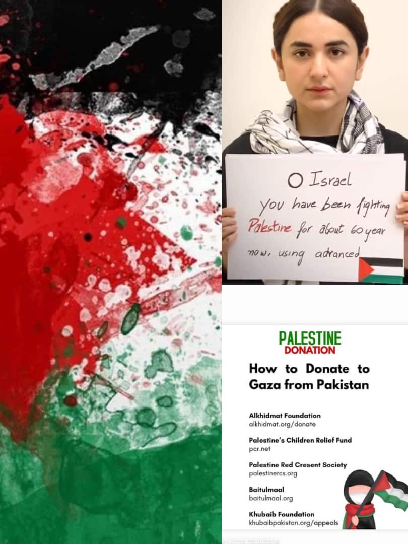 Palestine के सपोर्ट में उतरीं पाकिस्तान की ये एक्ट्रेसेस