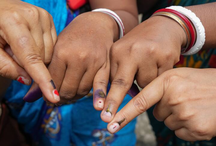 क्या आप जानते हैं कि वोटिंग के दौरान उंगली पर लगाई जाने वाली इस स्याही की कीमत कितनी होती है?