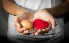 Egg For Heart : ਕੀ ਆਂਡੇ ਖਾਣ ਨਾਲ ਵਧ ਜਾਂਦੈ ਦਿਲ ਦੀਆਂ ਸਮੱਸਿਆਵਾਂ ਦਾ ਖ਼ਤਰਾ? ਜਾਣੋ ਮਾਹਰਾਂ ਦੀ ਰਾਏ