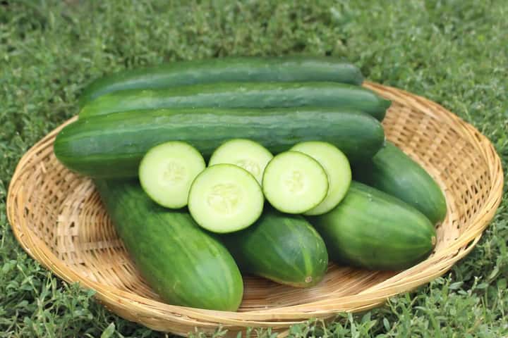 Side Effects of Cucumber: કાકડીની અંદર રહેલા બીજ કબજિયાતને રોકવામાં મદદ કરે છે. કાકડીમાં પર્યાપ્ત માત્રામાં પાણી હોય છે જે તમારા પેટને સ્વસ્થ રાખે છે.