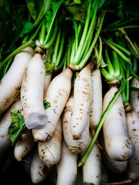 जानें मूली खाने के खास फायदे