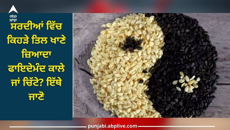 which sesame is more beneficial to eat black or white health news details inside Health News: ਸਰਦੀਆਂ ਵਿੱਚ ਕਿਹੜੇ ਤਿਲ ਖਾਣੇ ਜ਼ਿਆਦਾ ਫਾਇਦੇਮੰਦ ਕਾਲੇ ਜਾਂ ਚਿੱਟੇ? ਇੱਥੇ ਜਾਣੋ