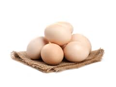 कौन-से पक्षी के अंडे खाना सबसे ज्यादा फायदेमंद होते हैं? जानें