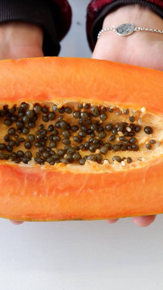 পিরিয়ডের ব্য়থায় কাতর? উপকারী হতে পারে পেঁপের বীজ