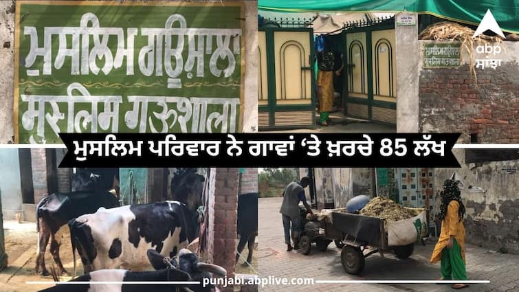 The Muslim family built a cowshed for helpless cows spent 85 lakhs Punjab News: ਧਰਮ ਦੇ ਨਾਂਅ 'ਤੇ ਵੰਡੀਆਂ ਪਾਉਣ ਵਾਲੇ ਜ਼ਰੂਰ ਪੜ੍ਹਿਓ, ਮੁਸਲਿਮ ਪਰਿਵਾਰ ਨੇ ਬੇਸਹਾਰਾ ਗਾਵਾਂ ਲਈ ਬਣਾਈ ਗਊਸ਼ਾਲਾ, ਖ਼ਰਚੇ ਦਿੱਤੇ 85 ਲੱਖ