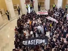 అమెరికాలో పాలస్తీనా మద్దతుదారుల నిరసనలు, వందలాది మంది అరెస్ట్