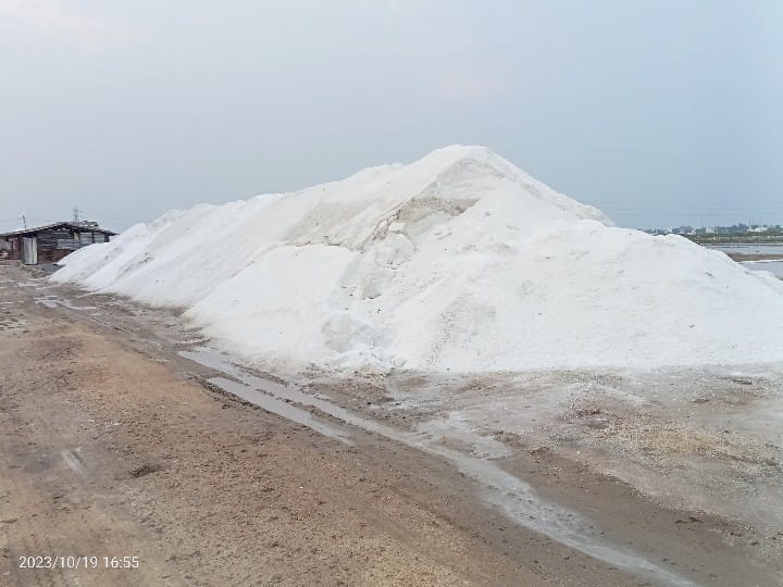 தூத்துக்குடியில் முடிவுக்கு வந்த உப்பு உற்பத்தி - விலையில் தாக்கத்தை ஏற்படுத்துமா?