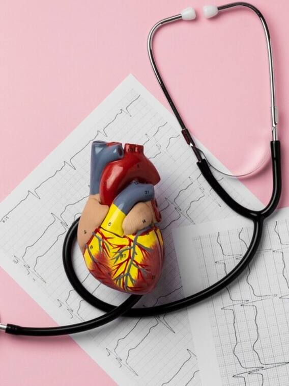 इन चीजों को खाने से बढ़ेगा आपका गुड कोलेस्ट्रॉल