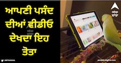 Viral Video: ਯੂ-ਟਿਊਬ 'ਤੇ ਆਪਣੀ ਪਸੰਦ ਦੀਆਂ ਵੀਡੀਓ ਦੇਖਦਾ ਇਹ ਤੋਤਾ, ਆਨੰਦ ਮਹਿੰਦਰਾ ਨੇ ਸ਼ੇਅਰ ਕੀਤੀ ਵੀਡੀਓ