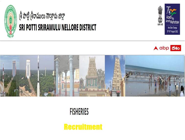 Fisheries Department SPSR Nellore District Has Released Notification for the Recruitment of Sagaramitra Posts Through Walk in Interview Fisheries Recruitment: నెల్లూరు జిల్లా మత్స్యశాఖలో సాగర మిత్ర ఉద్యోగాలు, అర్హతలివే