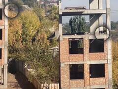 बहुमंजिला इमारत पर खड़ा था कुत्ता, सोचते-सोचते बिल्डिंग से लगा दी छलांग, सामने आया VIDEO