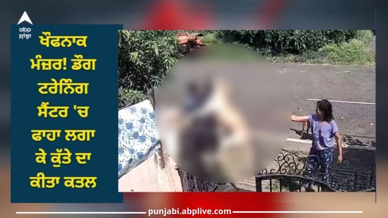 Dog Training Centre:  A painful Murder of dog in a dog training center sahar colony Dog Training Centre: ਖੌਫਨਾਕ ਮੰਜ਼ਰ! ਡੌਗ ਟਰੇਨਿੰਗ ਸੈਂਟਰ 'ਚ ਫਾਹਾ ਲਗਾ ਕੇ ਕੁੱਤੇ ਨੂੰ ਦਿੱਤੀ ਦਰਦਨਾਕ ਮੌਤ