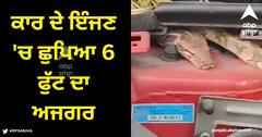 Viral Video: ਕਾਰ ਦੇ ਇੰਜਣ 'ਚ ਛੁਪਿਆ 6 ਫੁੱਟ ਦਾ ਅਜਗਰ, ਬਾਹਰ ਕੱਢਣ 'ਚ ਲੱਗਾ ਡੇਢ ਘੰਟੇ ਦਾ ਸਮਾਂ, ਵੀਡੀਓ ਦੇਖ ਕੇ ਉੱਡ ਜਾਣਗੇ ਹੋਸ਼
