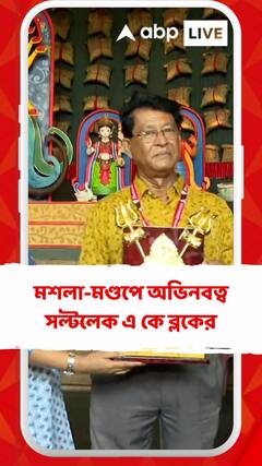 মশলা-মণ্ডপে অভিনবত্ব, পুজোয় সেরার শিরোপা সল্টলেক এ কে ব্লকের
