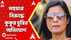 পোষ্য কুকুর চুরির অভিযোগে মহুয়া মৈত্রর বিরুদ্ধে থানায় অভিযোগ সুপ্রিম কোর্টের আইনজীবীর