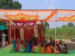 Nanded News : नांदेडमध्ये गाईचे अनोखे डोहाळे जेवण , पंचक्रोशीत  चर्चा