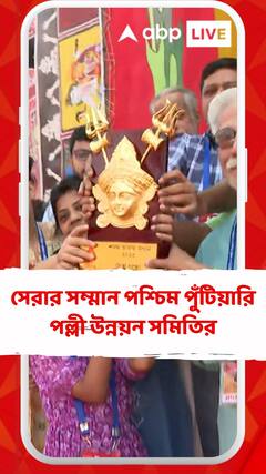 বিয়েবাড়ির আদলে প্যান্ডেল, সেরার সম্মান পশ্চিম পুঁটিয়ারি পল্লী উন্নয়ন সমিতির