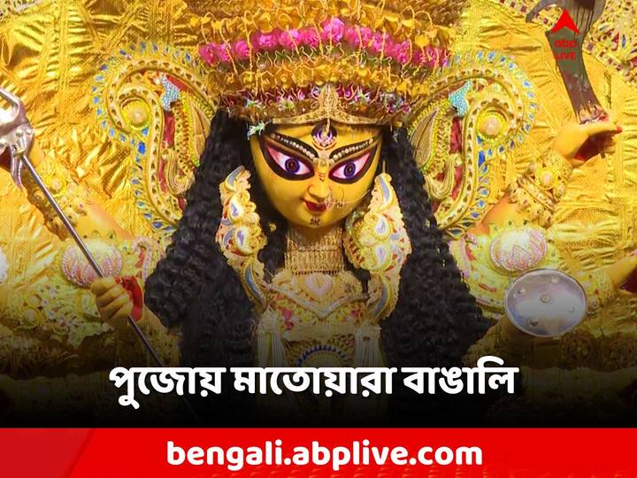 Puja Celebration:এক এক পুজোয় এক একরকম থিমের চমক। কোথাও মন্ডপ সজ্জায় নানা কারুকাজ, কোথাও চমক প্রতিমার সাজে।