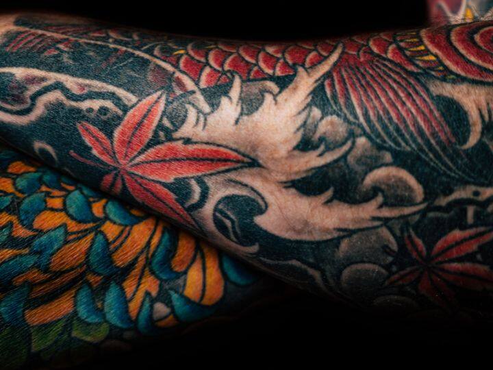 भारतीय प्रशासनिक सेवा, भारतीय पुलिस सेवा, भारतीय राजस्व सेवा, भारतीय विदेश सेवा, भारतीय सेना, भारतीय नेवी, भारतीय वायुसेना, भारतीय तटरक्षक बल और पुलिस के लिए आप टैटू बनवाने के बाद अप्लाई नहीं कर सकते हैं.