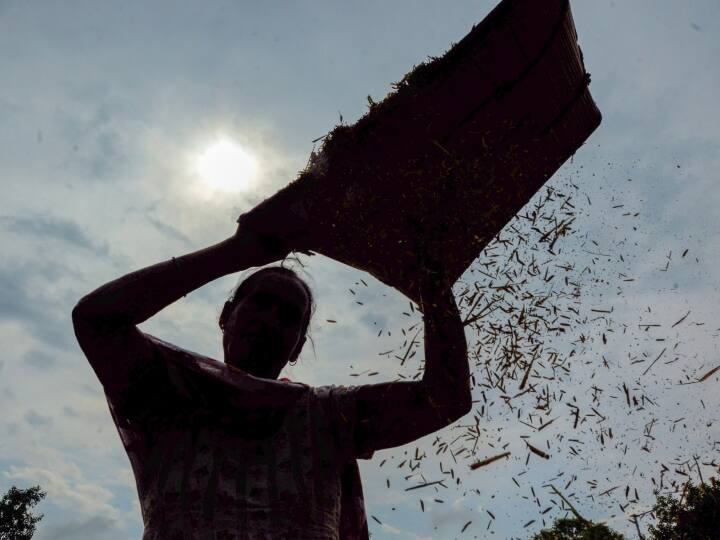 Weather Today in UP: सुबह में हल्की ठंड, दिन की चटख धूप, जानें आज कैसा रहेगा मौसम? weather update today 20 October IMD forecast strong sunlight full day Weather Today in UP: सुबह में हल्की ठंड, दिन की चटख धूप, जानें आज कैसा रहेगा मौसम?