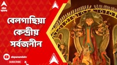 বেলগাছিয়া কেন্দ্রীয় সর্বজনীনের মণ্ডপে স্বপ্নের বুনন, এবারের অন্যতম সেরা পুজো