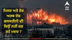 Israel-Hamas War: ਮਿਸਰ ਅਤੇ ਹੋਰ ਅਰਬ ਦੇਸ਼ ਫਲਸਤੀਨੀ ਦੀ ਕਿਉਂ ਨਹੀਂ ਕਰ ਰਹੇ ਮਦਦ? ਉਨ੍ਹਾਂ ਨੂੰ ਕਿਸ ਗੱਲ ਦਾ ਡਰ ?