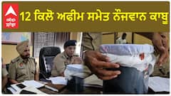 Punjab News। ਮਾਨਸਾ ਪੁਲਿਸ ਦੀ ਵੱਡੀ ਕਾਰਵਾਈ,12 ਕਿਲੋ ਅਫੀਮ ਸਮੇਤ ਨੌਜਵਾਨ ਕਾਬੂ