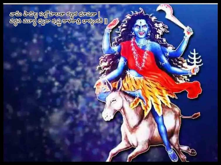 Navratri 2023: 7th day of navrati alamkaram kalaratri durga in Sri sailam navadurga Dussehra 2023 Day 7: శని ప్రభావం తగ్గించే కాళరాత్రి దుర్గ  అలంకారంలో శ్రీశైల భ్రమరాంబిక!