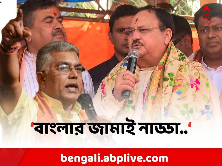 Dilip Ghosh attacks TMC due to  Hoarding Controversy around JP Nadda Dilip on Nadda: শহরে নাড্ডার হোর্ডিং সরতেই TMC-র উপর চটলেন দিলীপ, বললেন..