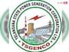 TSGENCO: తెలంగాణ జెన్‌కోలో డైరెక్టర్ పోస్టులు - ఎంపికైతే నెలకు రూ.1.5 లక్షల జీతం