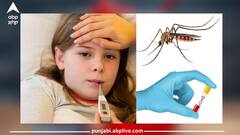 Dengue: ਡੇਂਗੂ ਦਾ ਸ਼ਿਕਾਰ ਹੋ ਰਹੇ ਨੇ ਬੱਚੇ, ਜਾਣੋ ਇਸ ਤੋਂ ਬਚਣ ਦੇ ਸਹੀ ਤਰੀਕੇ