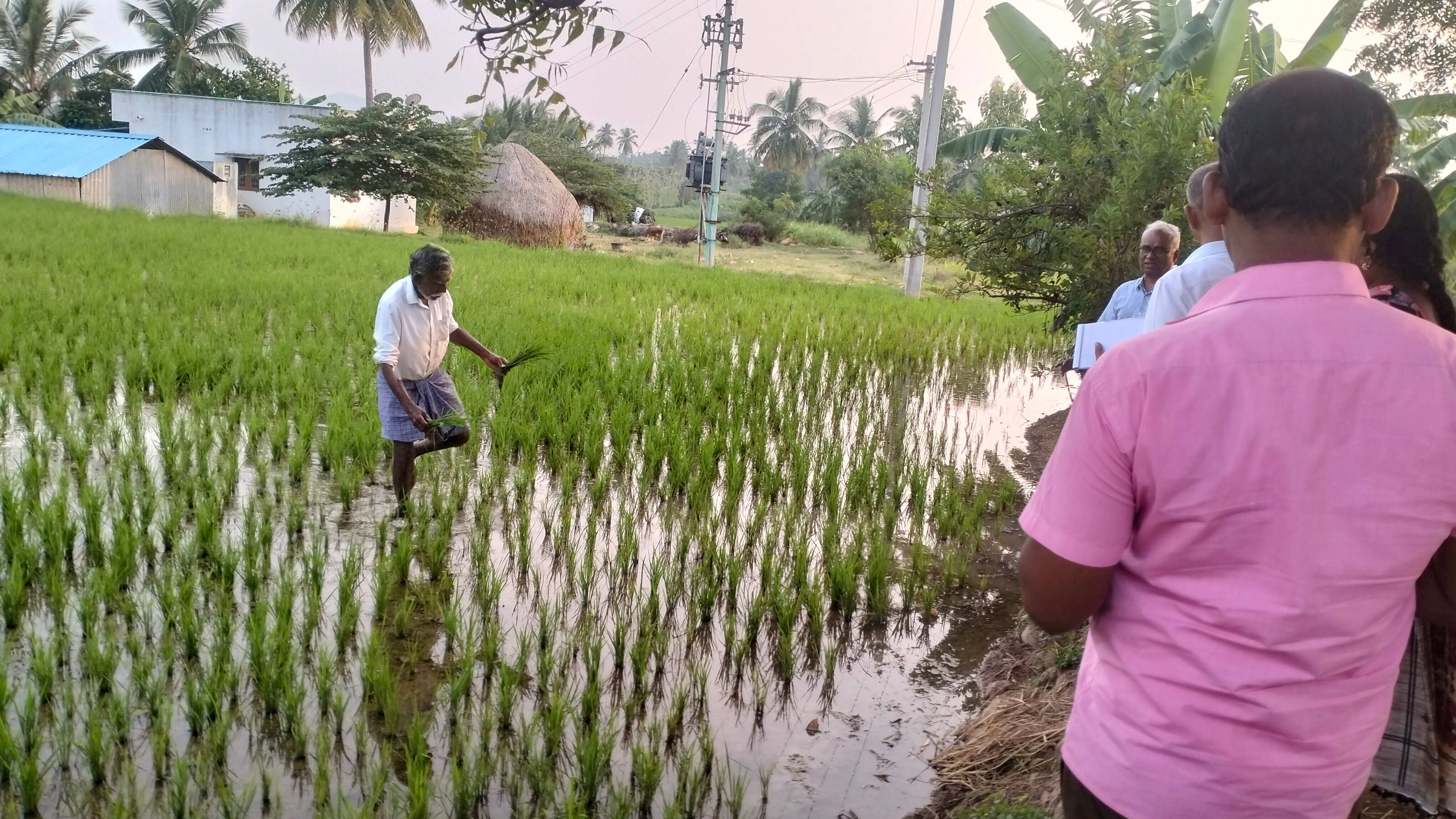 Dharmapuri: அரசு விதிகளை மீறி விதை விற்பனை; அரூரில் தனியார் விற்பனை நிலைய உரிமம் ரத்து