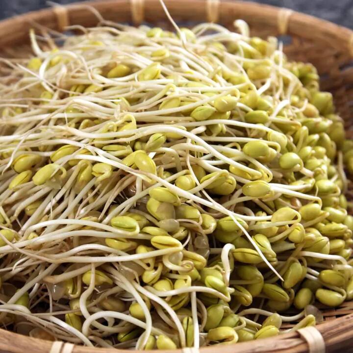 ਇਸ ਤੋਂ ਇਲਾਵਾ ਮਾਈਗ੍ਰੇਨ ਅਤੇ ਹਾਈਪੋਥਾਇਰਾਇਡ ਦੇ ਮਰੀਜ਼ਾਂ ਨੂੰ ਵੀ ਸੋਇਆਬੀਨ ਤੋਂ ਪਰਹੇਜ਼ ਕਰਨਾ ਚਾਹੀਦਾ ਹੈ।