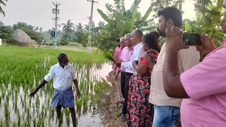 Dharmapuri License of private seed sales outlets in Harur for selling seeds in violation of government rules has been temporarily cancelled TNN Dharmapuri: அரசு விதிகளை மீறி விதை விற்பனை; அரூரில் தனியார் விற்பனை நிலைய உரிமம் ரத்து