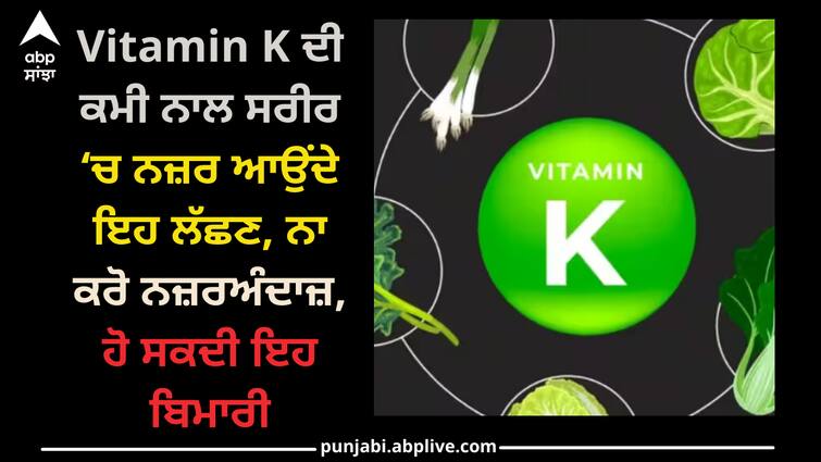 vitamin-k-deficiency-can-cause-this-disease-which-should-not-be-ignored Health: Vitamin K ਦੀ ਕਮੀ ਨਾਲ ਸਰੀਰ ‘ਚ ਨਜ਼ਰ ਆਉਂਦੇ ਇਹ ਲੱਛਣ, ਨਾ ਕਰੋ ਨਜ਼ਰਅੰਦਾਜ਼, ਹੋ ਸਕਦੀ ਇਹ ਬਿਮਾਰੀ