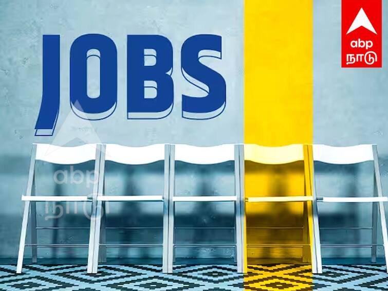 Job Fair kalaignar nootrandu vizha Employment camp at gingee on 28th TNN Job Fair: கலைஞர் நூற்றாண்டு விழா; செஞ்சியில் 28ம் தேதி வேலைவாய்ப்பு முகாம்