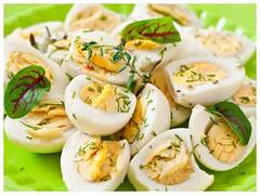 Health Tips : कोणत्या पक्ष्याची अंडी खाण्यासाठी सर्वात फायदेशीर? उत्तर ऐकून तुम्हीही व्हाल थक्क